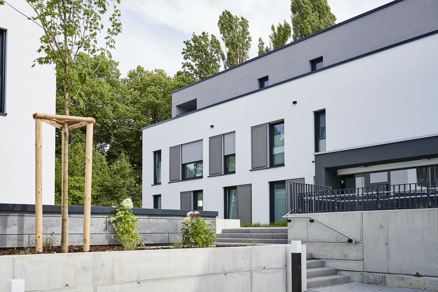 Projekte Modernes weißes Mehrfamilienhaus mit großen Fenstern, grauen Akzenten, einer Betonrampe mit Geländern sowie kleinen Zierpflanzen und einem jungen Baum im Vordergrund. Das von SCHATZ Architektur im Rahmen ihrer Projektentwicklung realisierte und über verschiedene Leistungsphasen hinweg entworfene Gebäude hebt sich vor dem Hintergrund von Bäumen und einem blauen Himmel ab.
