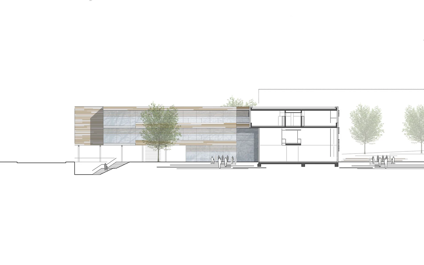 Fassadenansicht eines modernen Gebäudes mit horizontalen Holz- und Glasfassaden, entworfen von SCHATZ Architektur in Schorndorf, mit einigen Bäumen im Hintergrund und minimaler Landschaftsgestaltung, alles vor einem weißen Hintergrund dargestellt.