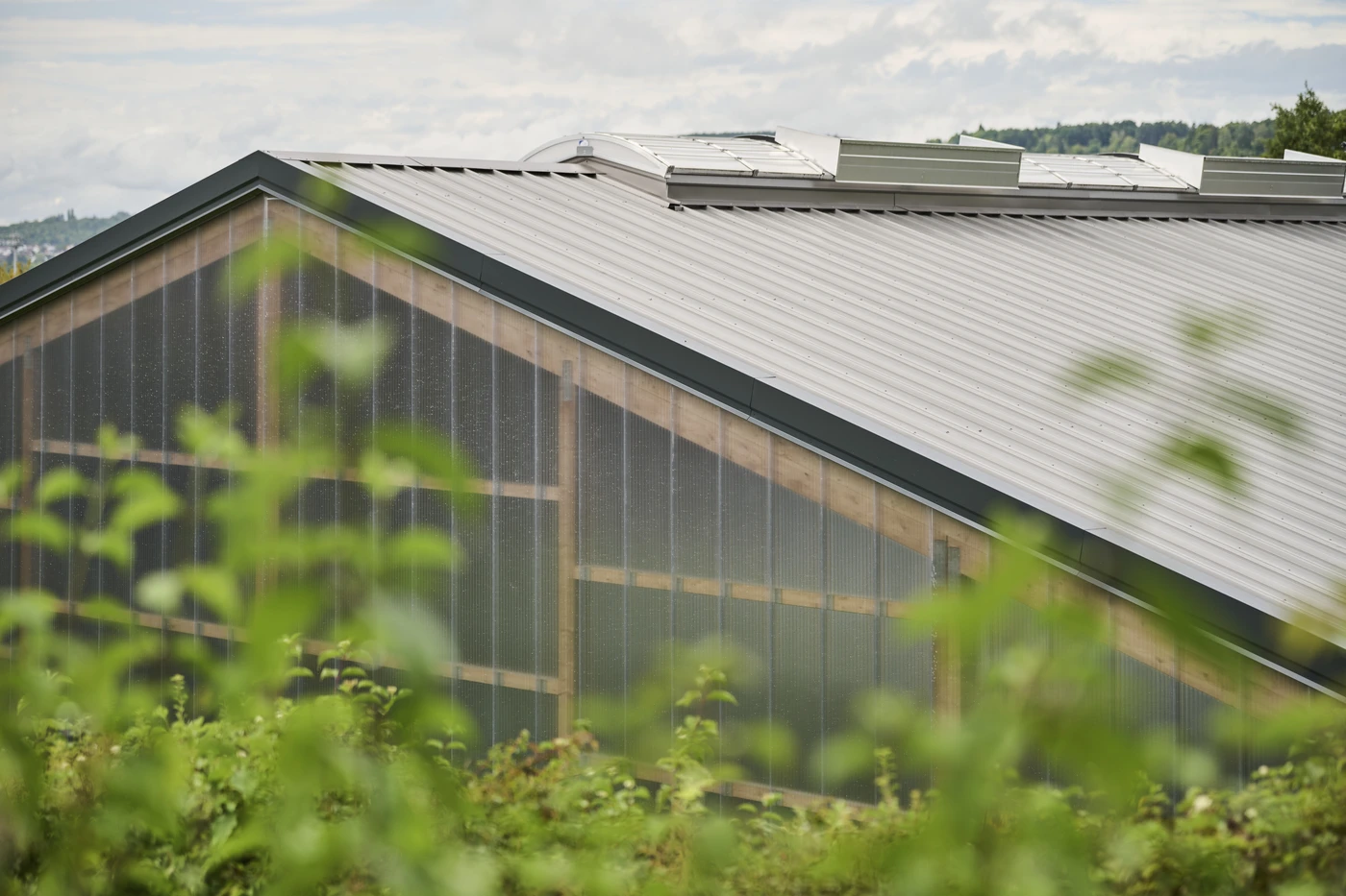 Projekte Ein modernes Gewächshaus mit Metalldach und lichtdurchlässigen Wänden, das im Vordergrund teilweise von grünen Pflanzen verdeckt wird, vor einem bewölkten Himmel – ein eindrucksvolles Beispiel für die Kompetenz von SCHATZ Architektur in den Bereichen Generalplanung und innovatives Design.