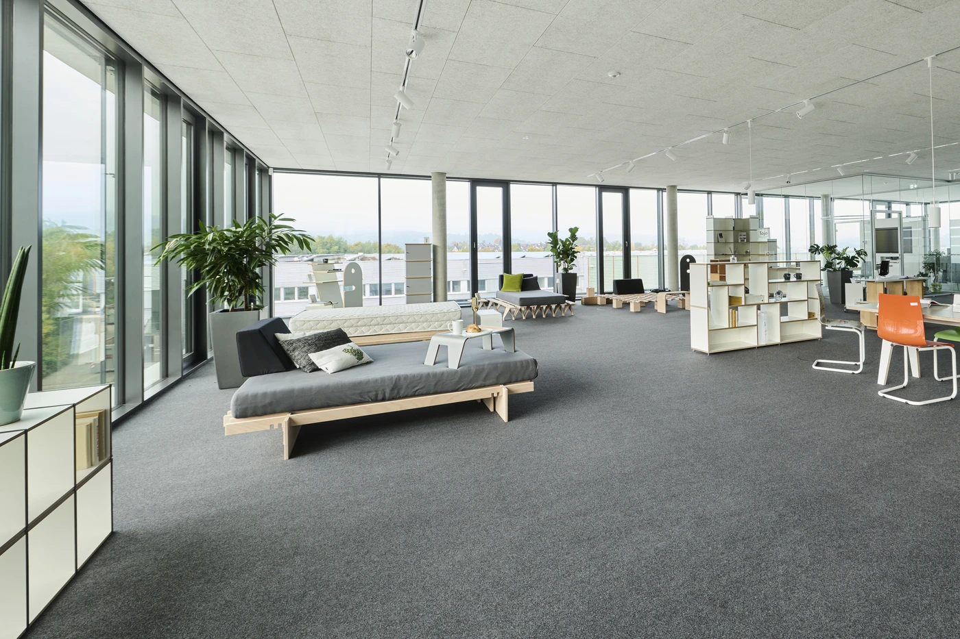 Modernes Großraumbüro mit großen Fenstern, grauem Teppichboden, minimalistischen Möbeln, Pflanzen und Regalen. Natürliches Licht durchflutet den geräumigen, luftigen Raum und schafft so einen ruhigen und einladenden Arbeitsbereich – ideal für die Projektentwicklung in allen Leistungsphasen der Generalplanung.