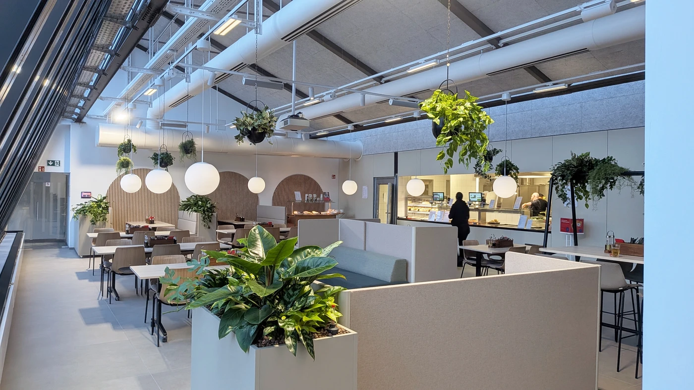 Startseite Eine moderne Cafeteria mit Pflanzen, runden Hängeleuchten und abgetrennten Sitzbereichen. Die Gäste stehen in der Nähe der Theke, und große Fenster lassen Tageslicht herein. Der Raum strahlt eine klare, offene und einladende Atmosphäre aus – ein Spiegelbild des durchdachten Entwurfs und der sorgfältigen Berücksichtigung aller Leistungsphasen während des gesamten Generalplanungsprozesses.