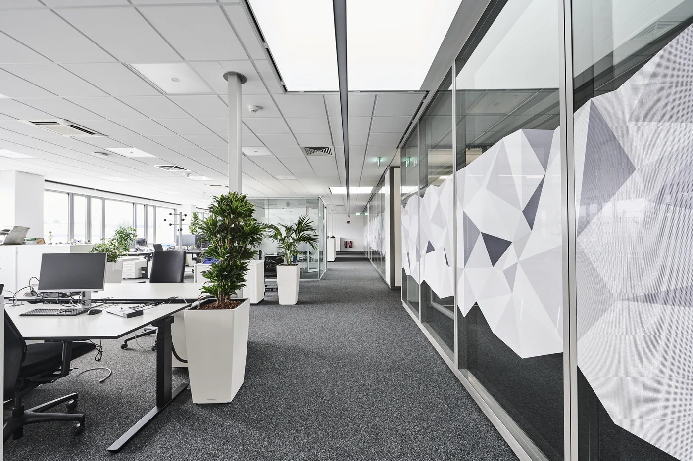 Projekte Modernes Großraumbüro in Schorndorf mit weißen Schreibtischen, ergonomischen Stühlen, Computern, Topfpflanzen, großen Fenstern, die für Tageslicht sorgen, und geometrischen Trennwänden aus Milchglas entlang eines mit Teppichboden ausgelegten Flurs. Der Entwurf spiegelt durchdachte gestalterische Überlegungen in allen Leistungsphasen wider.